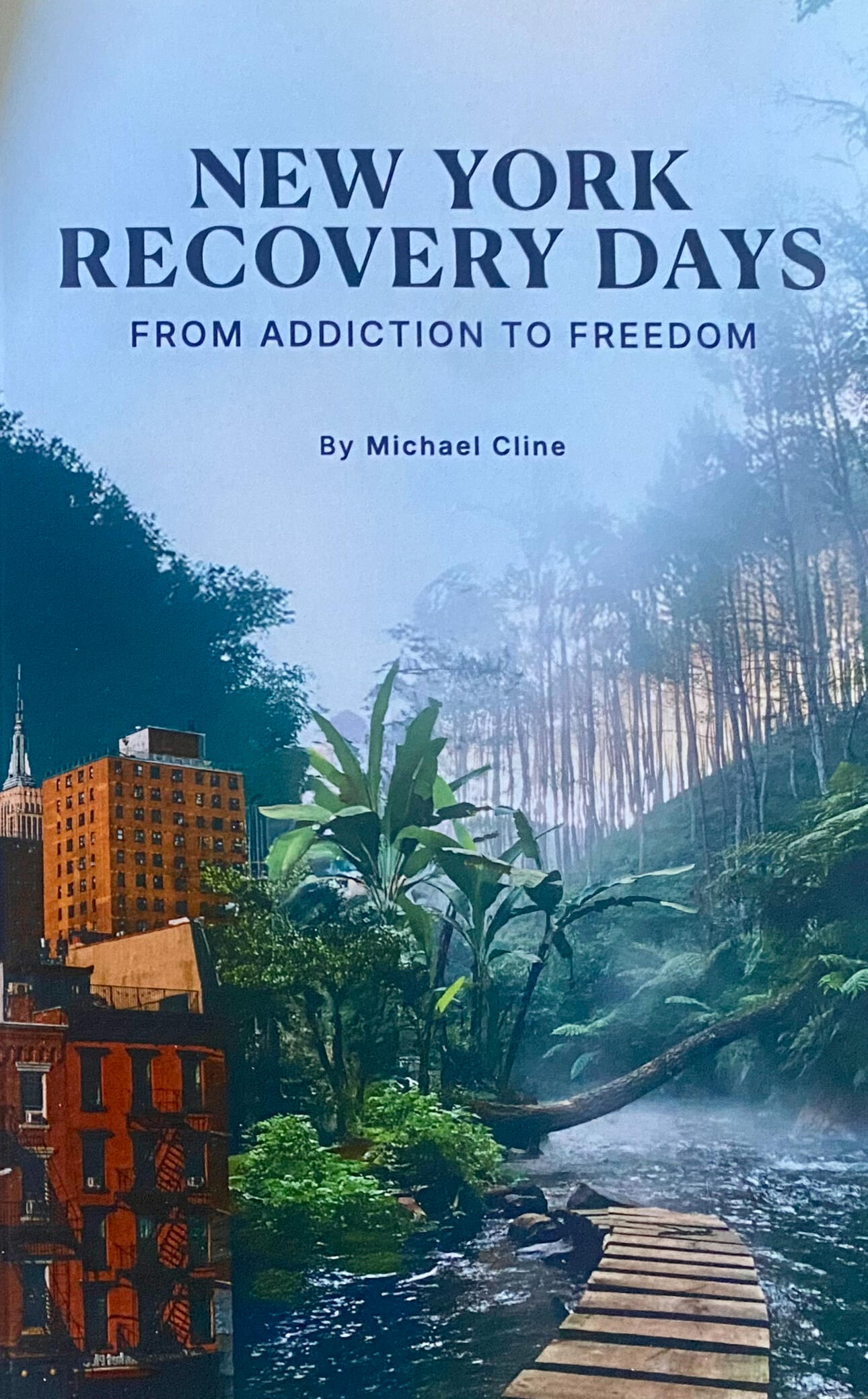The cover of the book NEW YORK RECOVERY DAYS